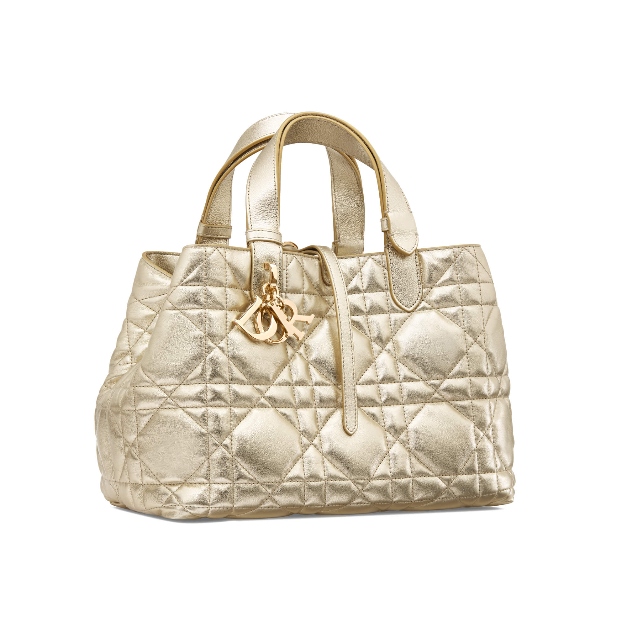 Dior Medium Dior Toujours Bag