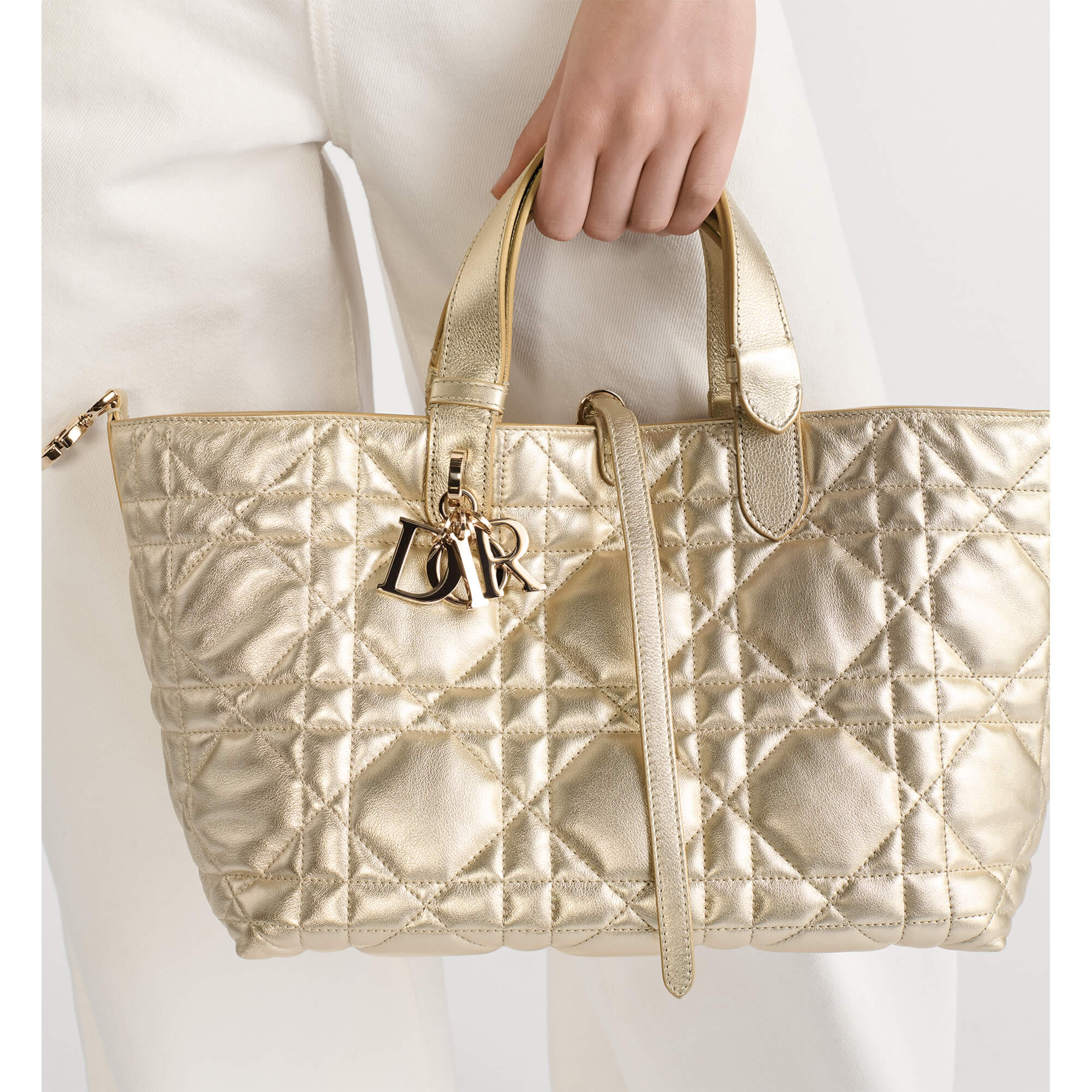 Dior Medium Dior Toujours Bag