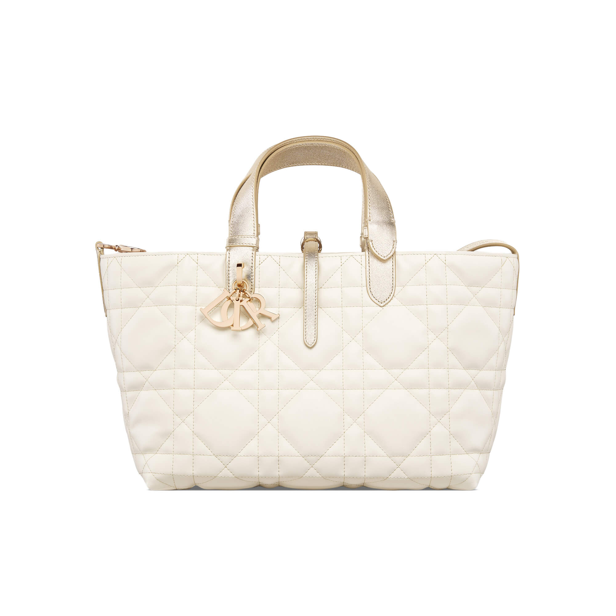 Dior Medium Dior Toujours Bag