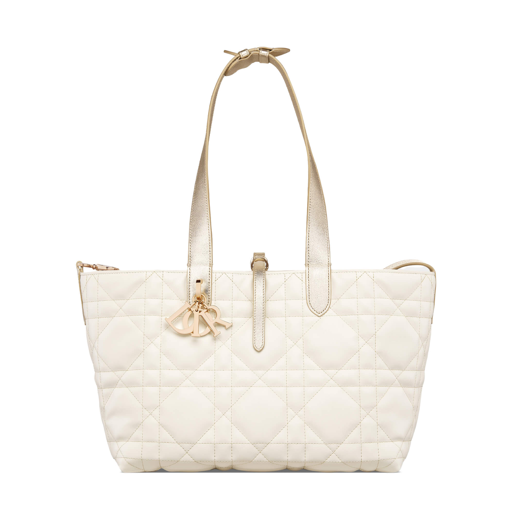 Dior Medium Dior Toujours Bag