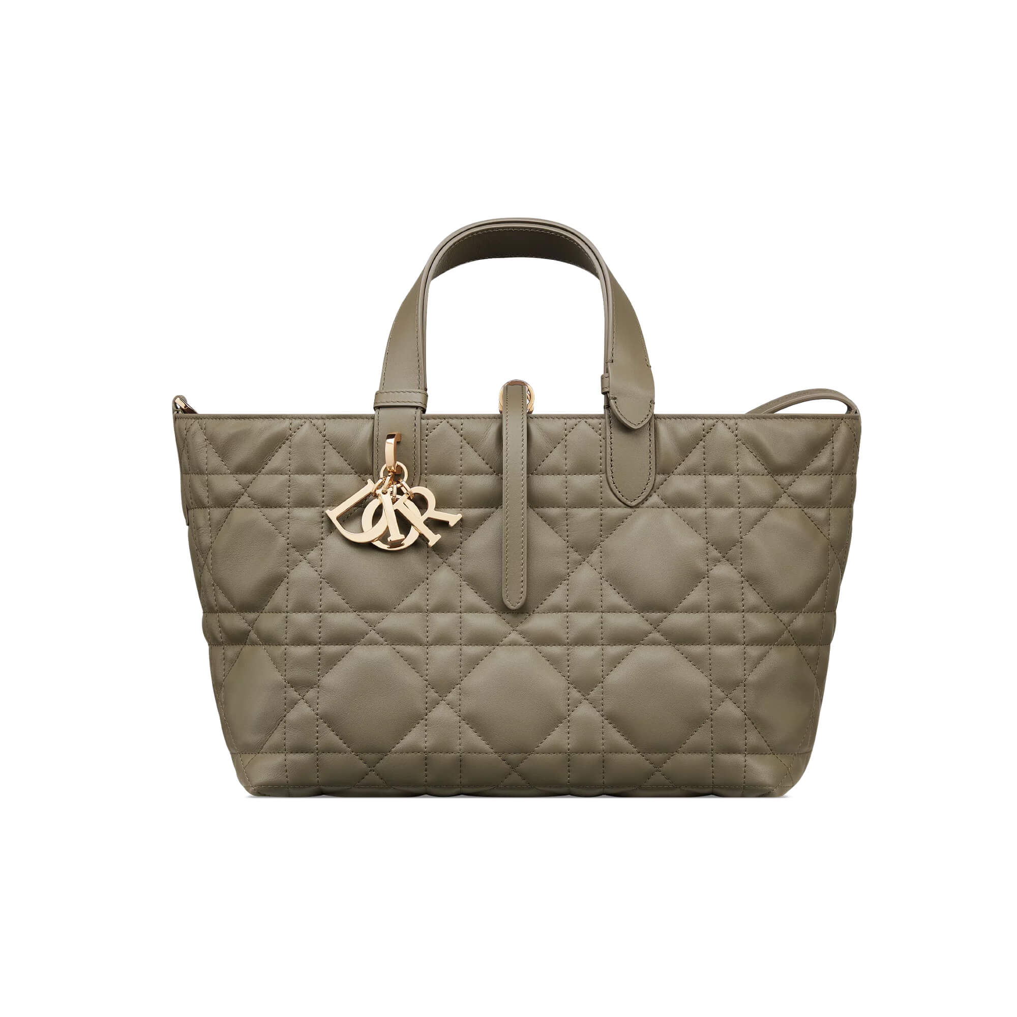 Dior Medium Dior Toujours Bag