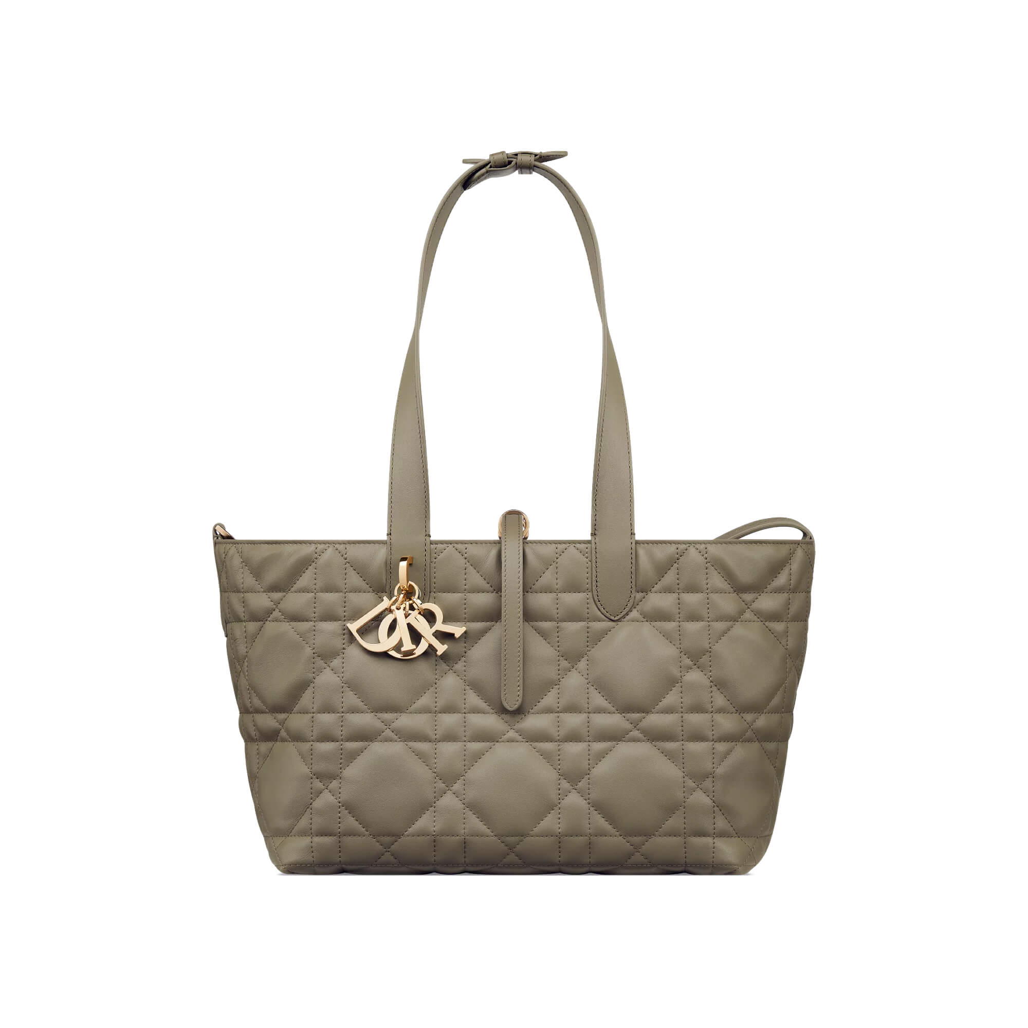 Dior Medium Dior Toujours Bag