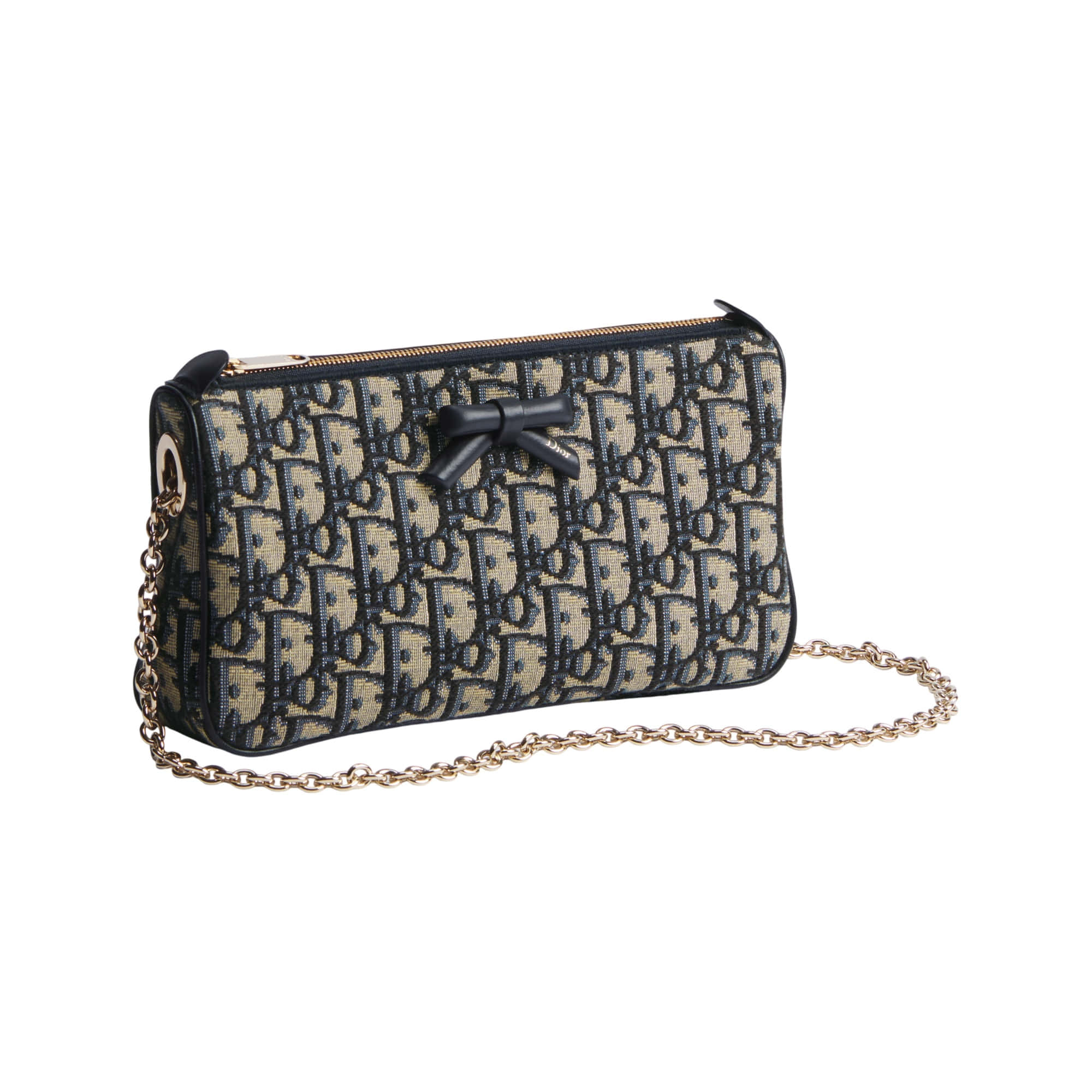 Dior Promenade Pouch
