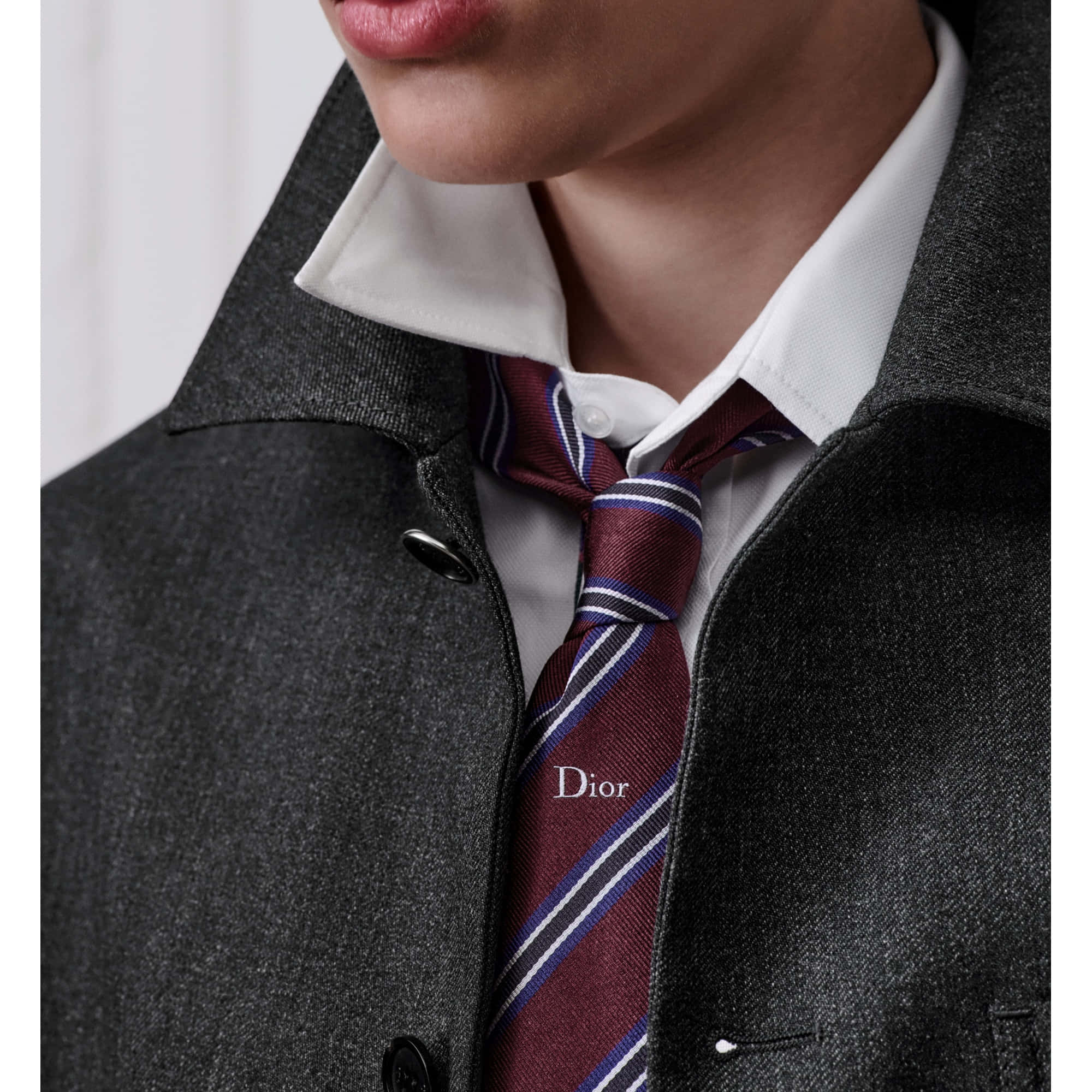 Dior Regimental Tie