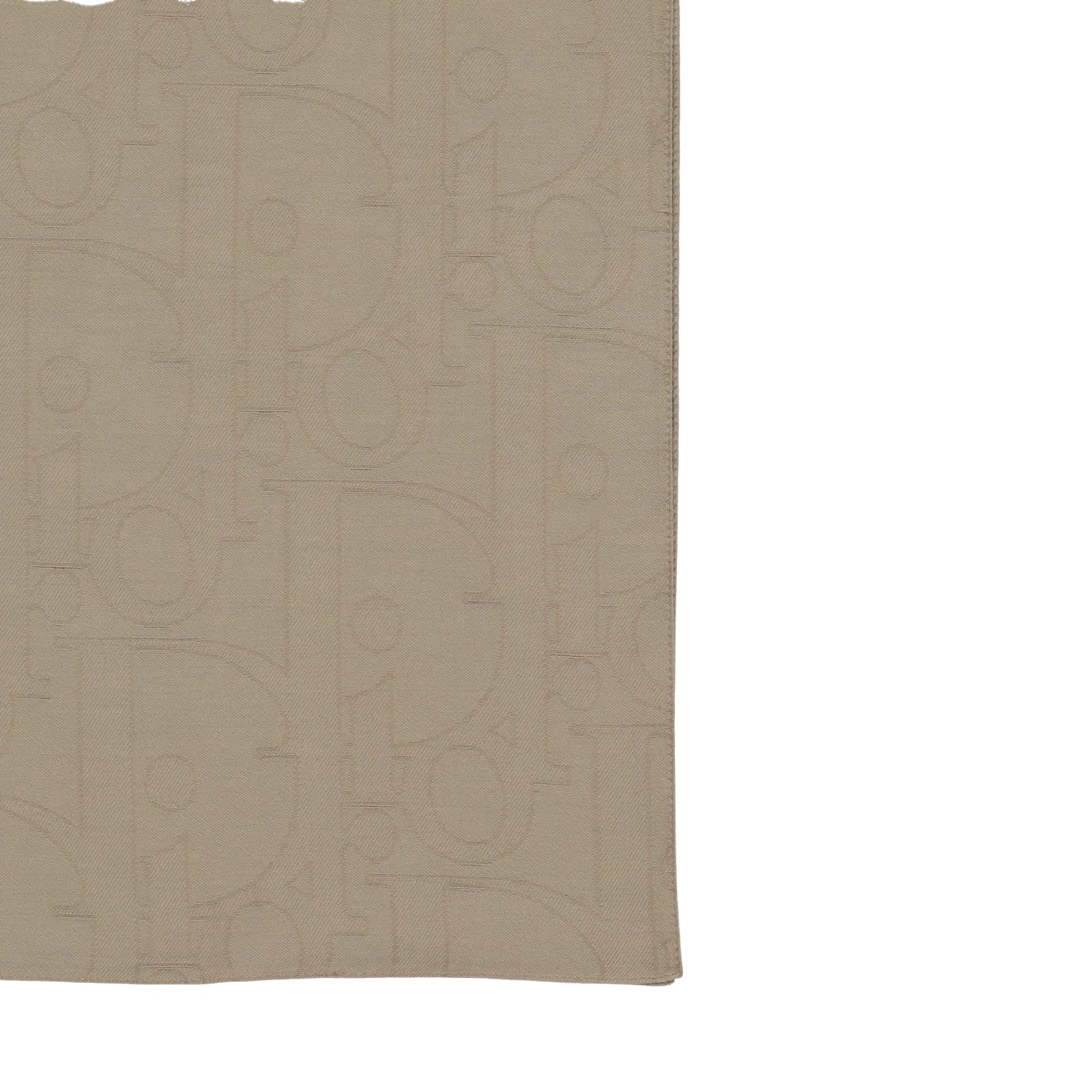 Dior Scarf