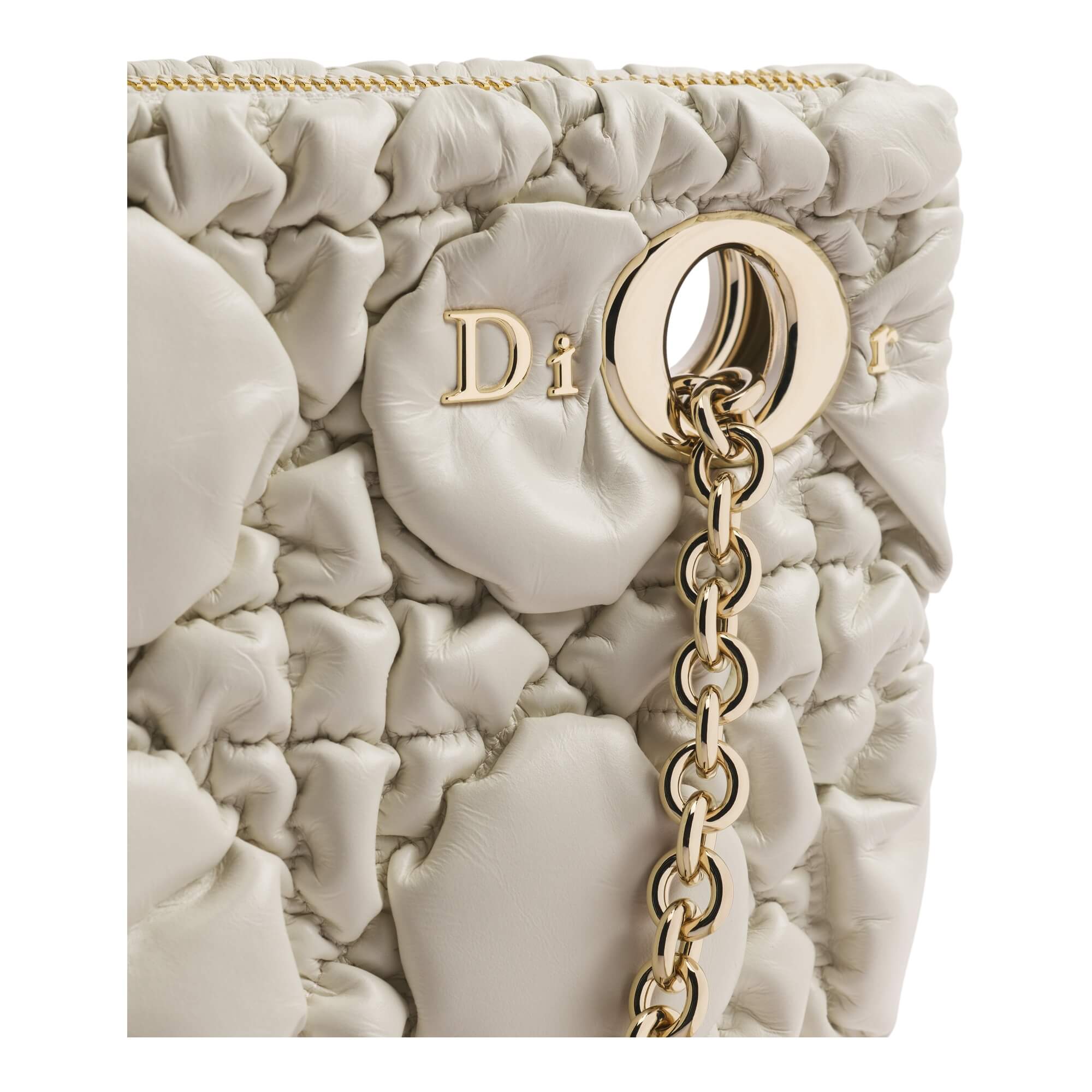 Dior Small Crunchy Bag