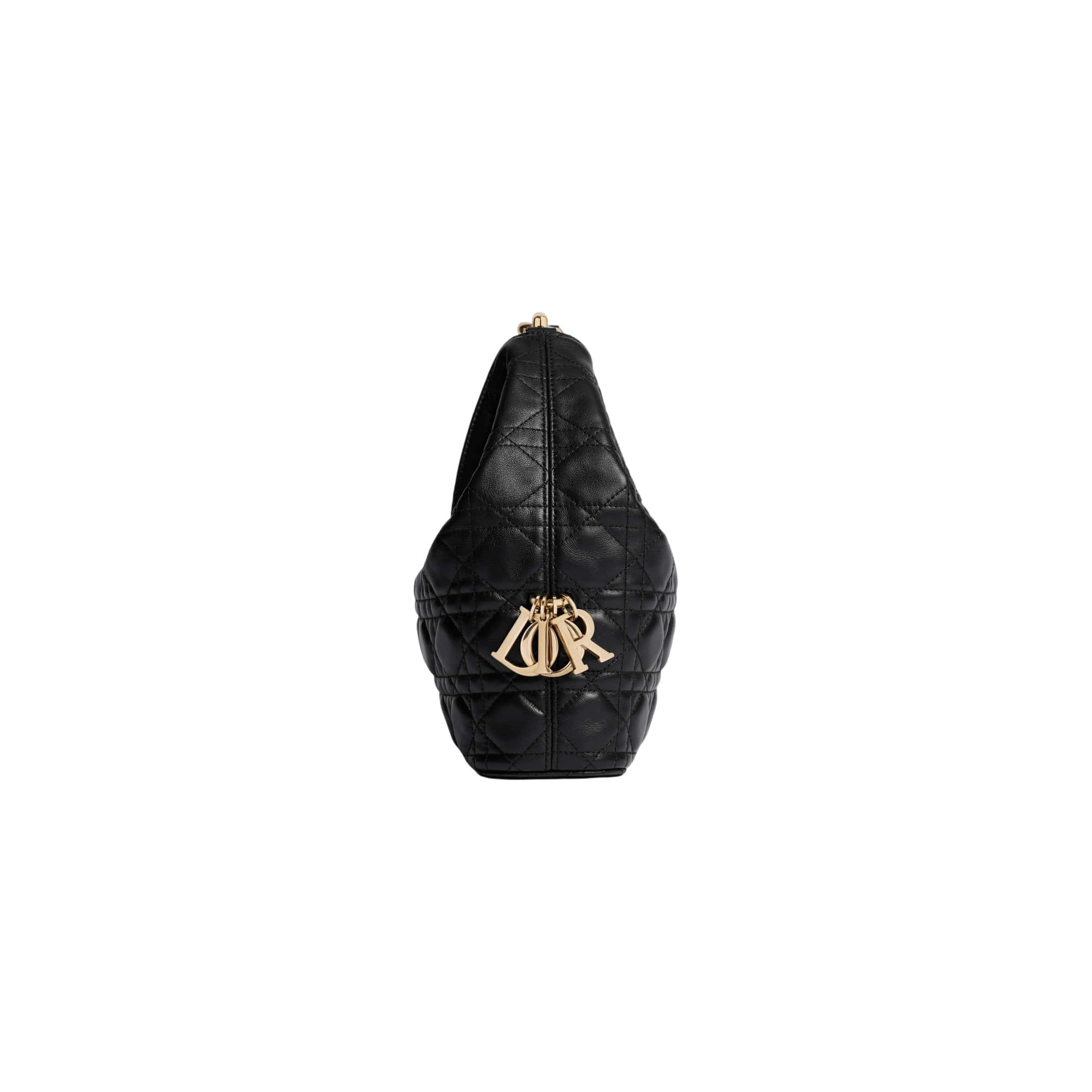 Dior Small Dior Toujours Hobo Bag