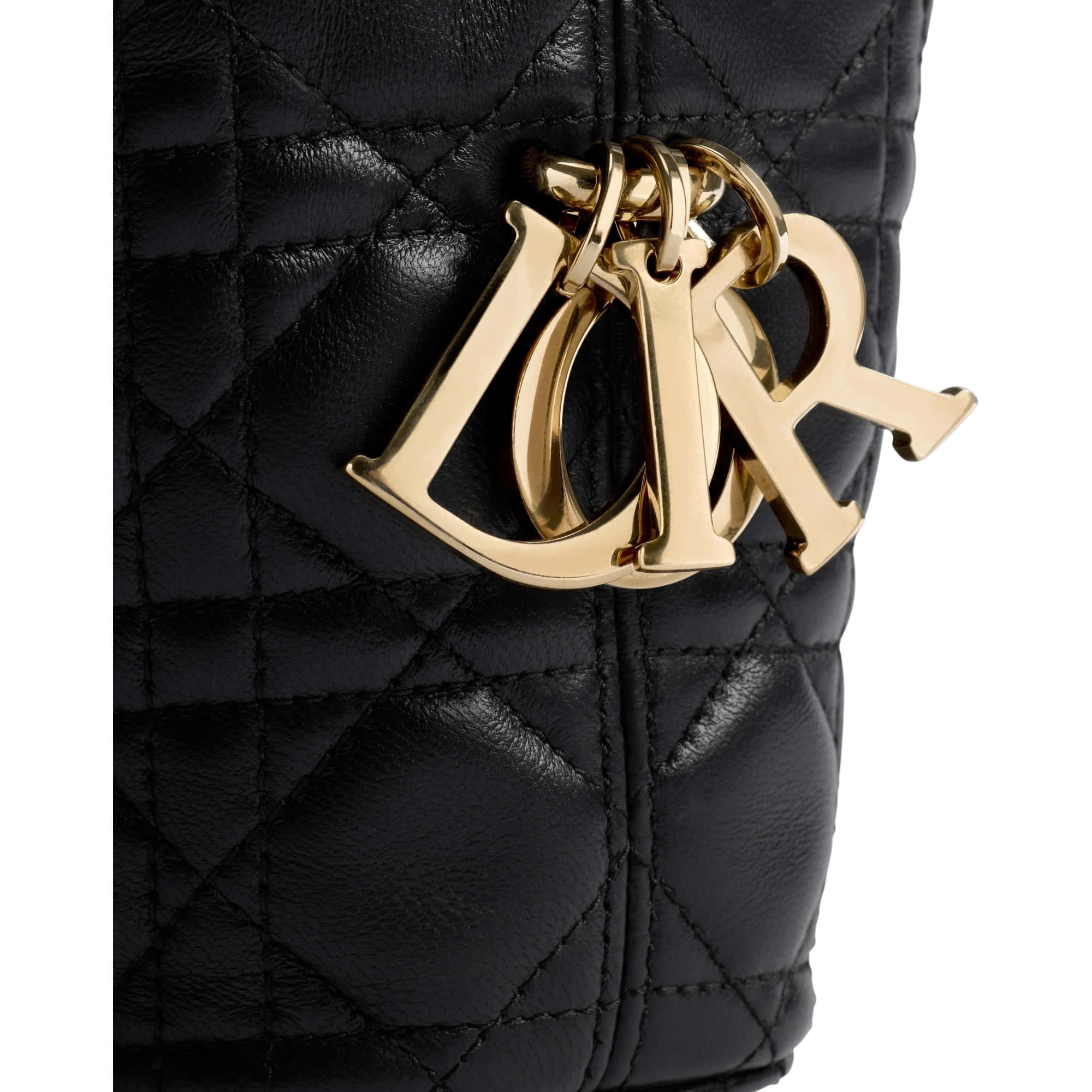 Dior Small Dior Toujours Hobo Bag