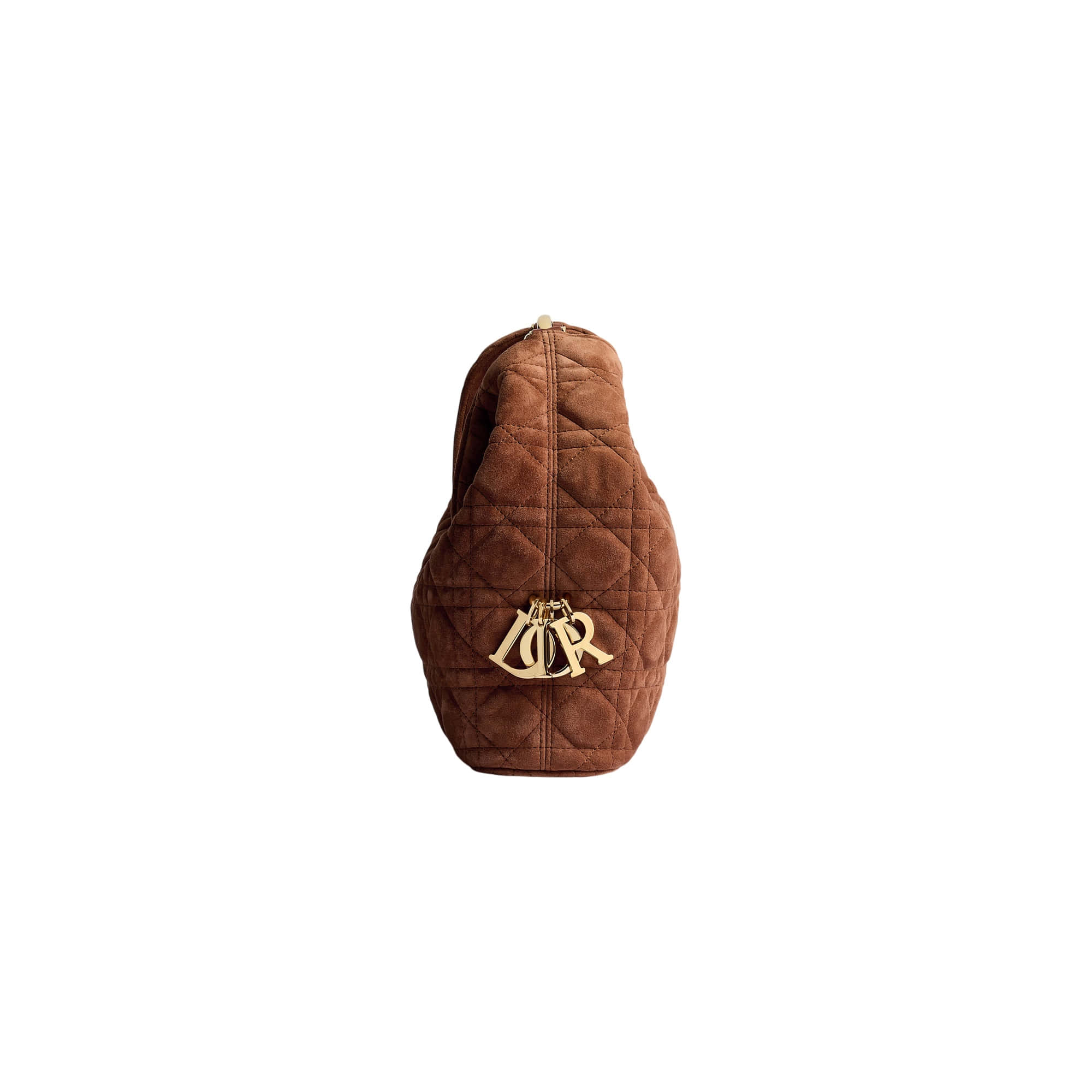 Dior Small Dior Toujours Hobo Bag