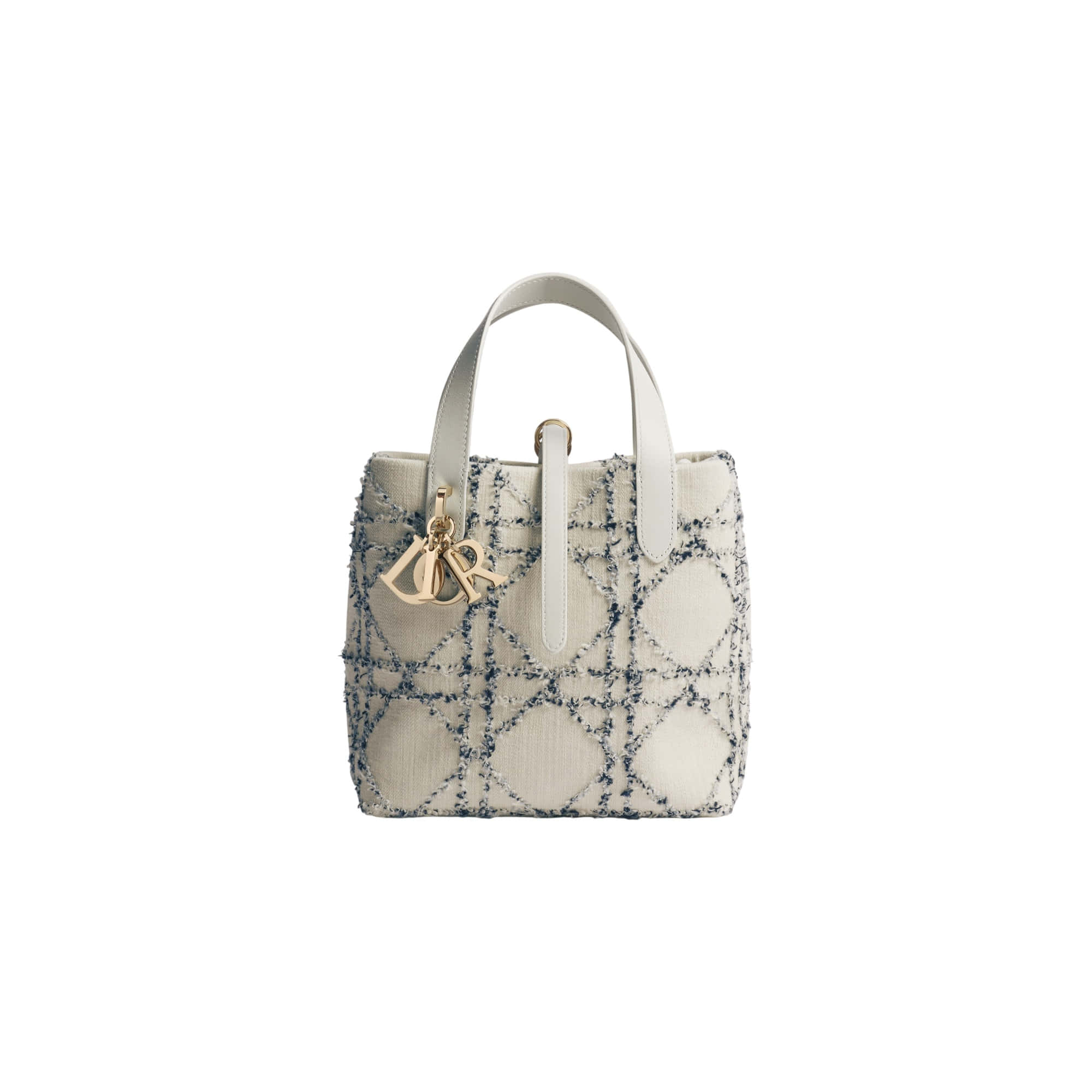 Dior Small Dior Toujours Vertical Tote Bag