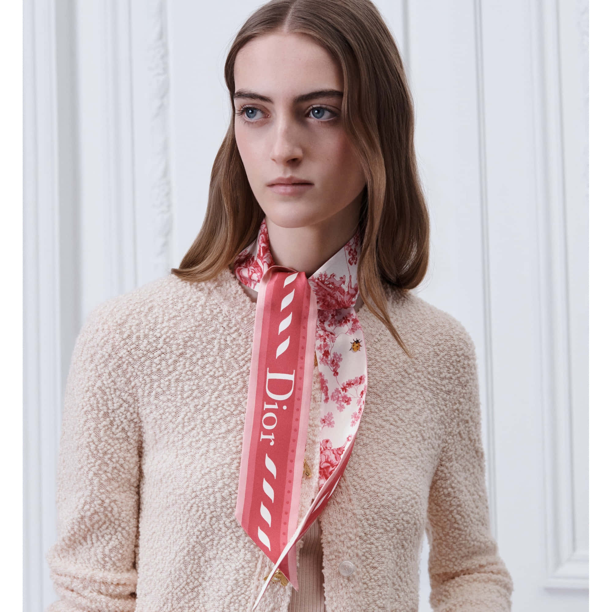 Dior Toile De Jouy Clover Mitzah Scarf