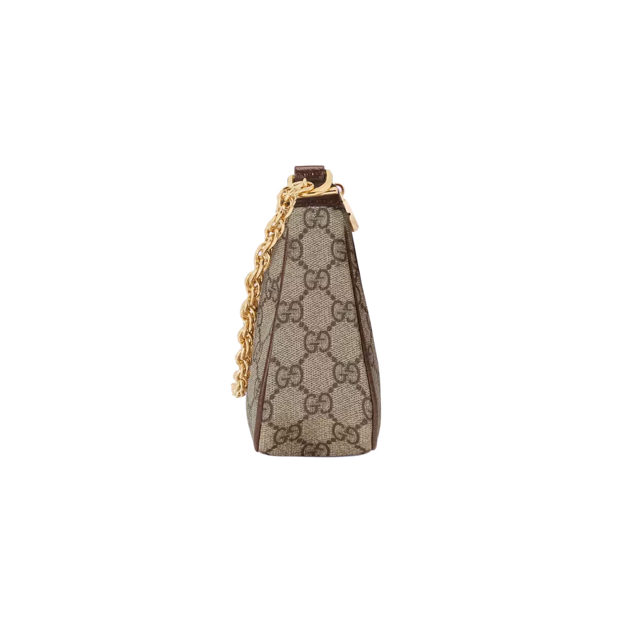 Gucci Ophidia Small Handbag