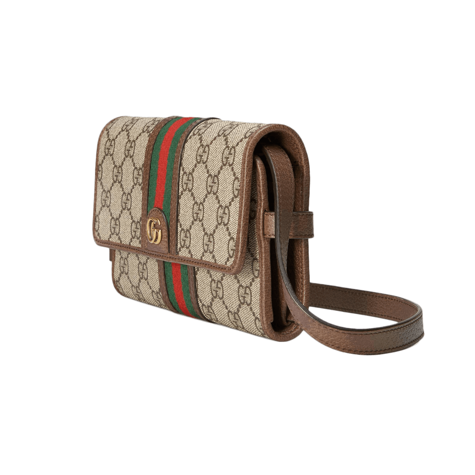 gucci ophidia mini transparent bag